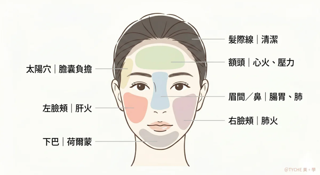 臉部粉刺位置對應指南